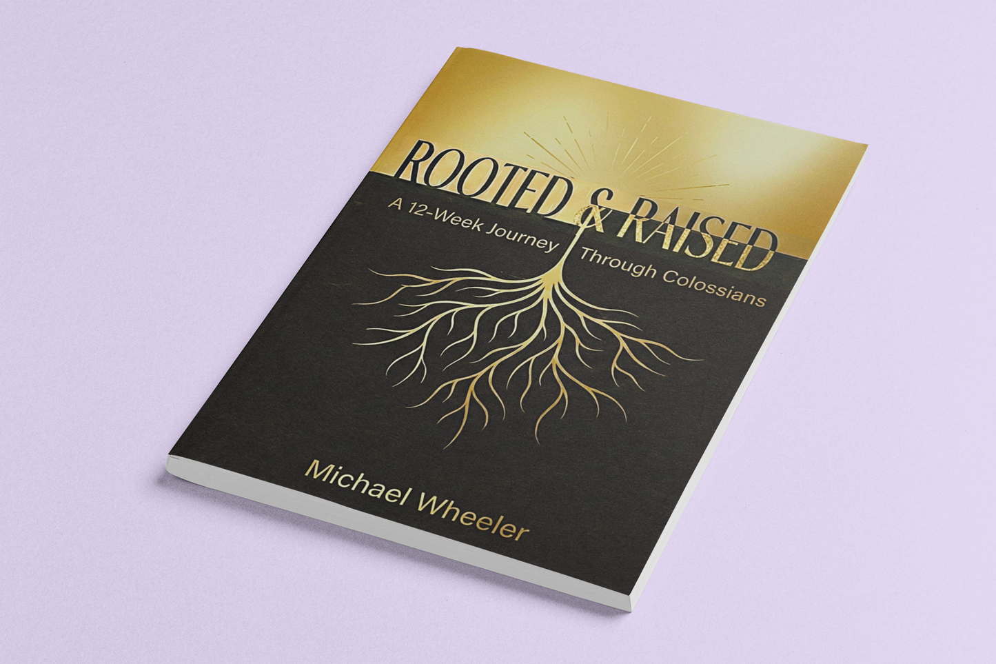 Rooted and Raised Colossians Bible Study | 12 Week Christian Discipleship Workbook for Individuals & Groups